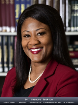 Dr. Chandra Jackson